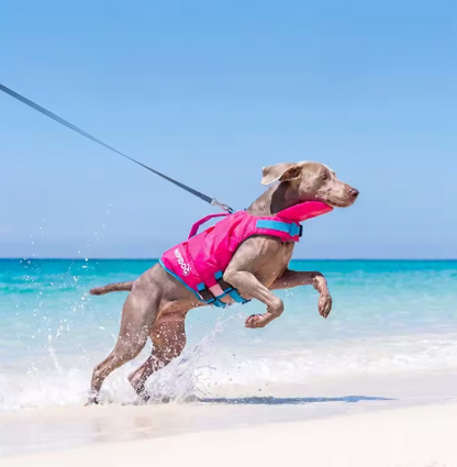 Chaleco salvavidas SharkFin para perros