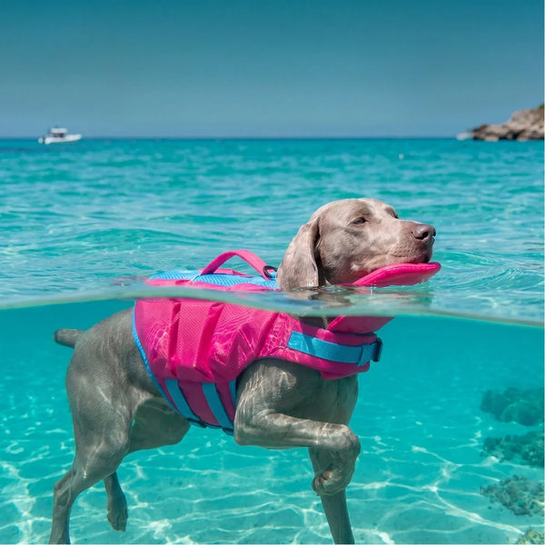 Chaleco salvavidas SharkFin para perros