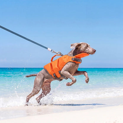 Chaleco salvavidas SharkFin para perros